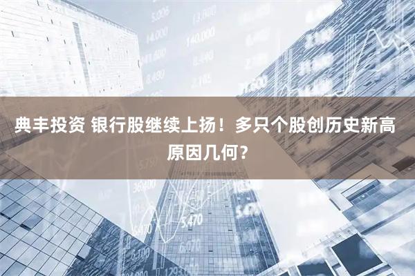 典丰投资 银行股继续上扬！多只个股创历史新高 原因几何？