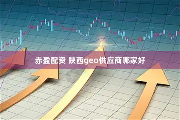 赤盈配资 陕西geo供应商哪家好