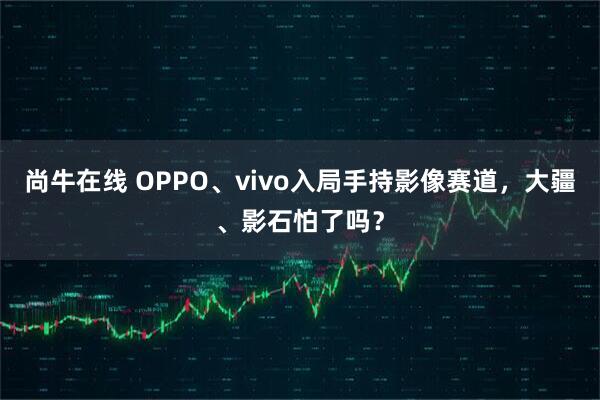 尚牛在线 OPPO、vivo入局手持影像赛道，大疆、影石怕了吗？