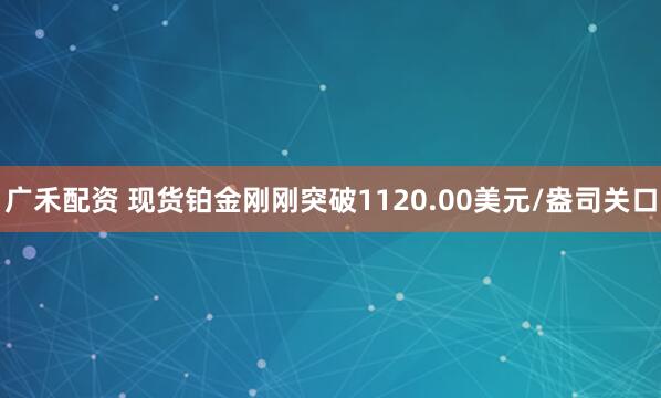 广禾配资 现货铂金刚刚突破1120.00美元/盎司关口