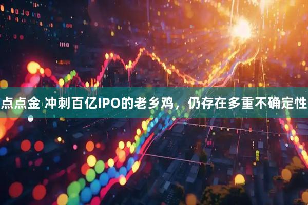 点点金 冲刺百亿IPO的老乡鸡，仍存在多重不确定性