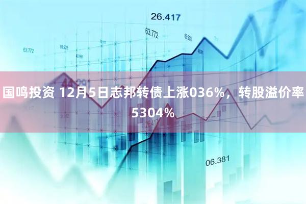 国鸣投资 12月5日志邦转债上涨036%，转股溢价率5304%